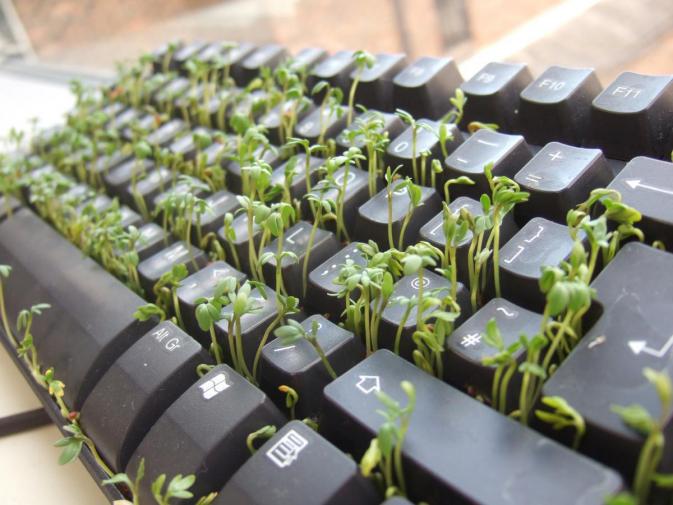 Bàn phím là bộ phận dễ bám bẩn nhất trong laptop
