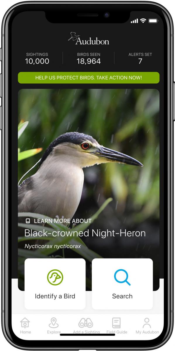Audubon Bird Guide Audubon Bird Guide