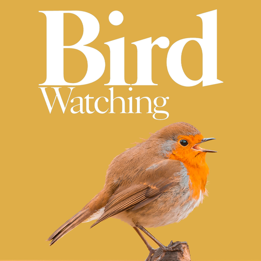 Bird Journal Bird Journal