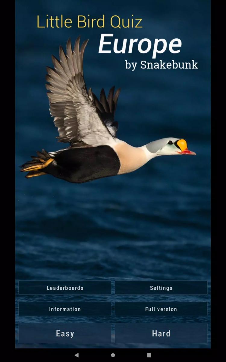 Little Bird Quiz Europe Little Bird Quiz Europe