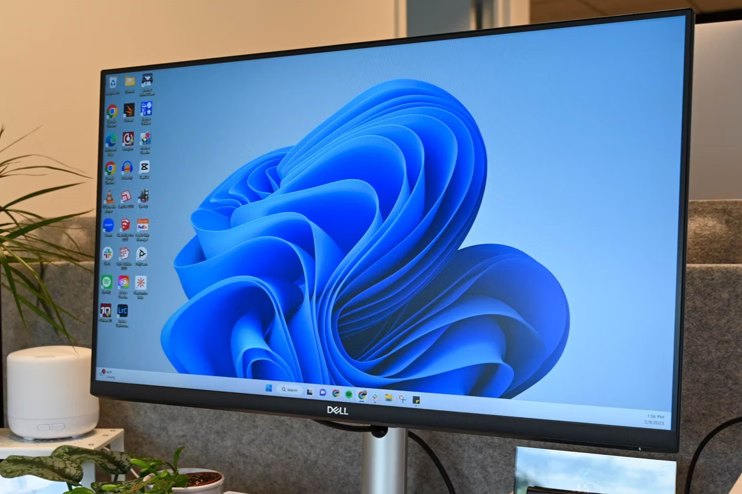 Windows 11