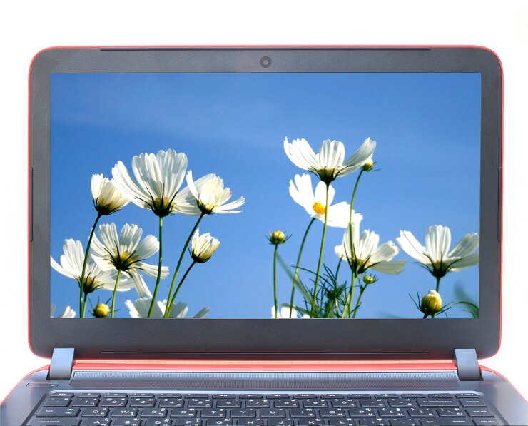 Thay màn hình Laptop ở Cần Thơ - Màn hình FHD là gì?