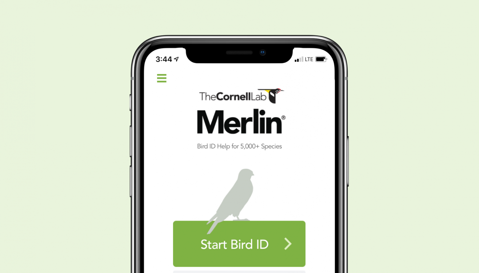 Merlin Bird ID Merlin Bird ID