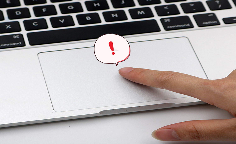 Nguyên nhân khiến chuột cảm ứng laptop không di chuyển được