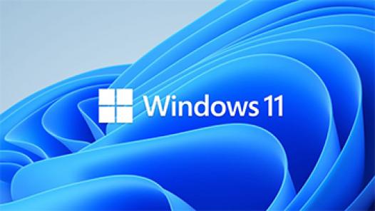Bản cập nhật Windows 11 gây ra hàng loạt sự cố cho người dùng 