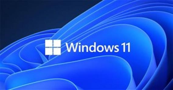 Thị phần Windows 11 tăng trưởng khá, nhưng vẫn kém xa Windows 10