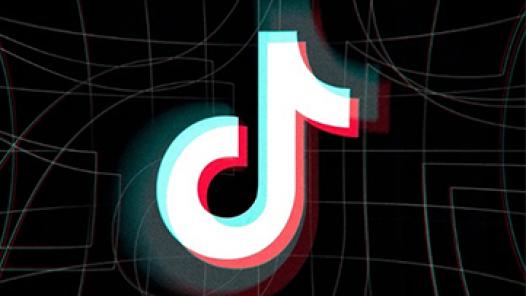 TikTok tiến hành sa thải toàn bộ nhân viên tại Ấn Độ