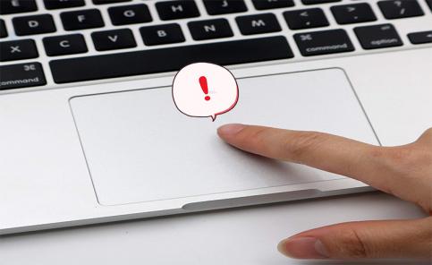 Vì sao chuột cảm ứng laptop không di chuyển được?