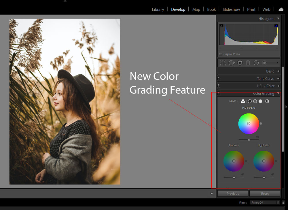 Những bánh xe màu nào có sẵn trong Lightroom?